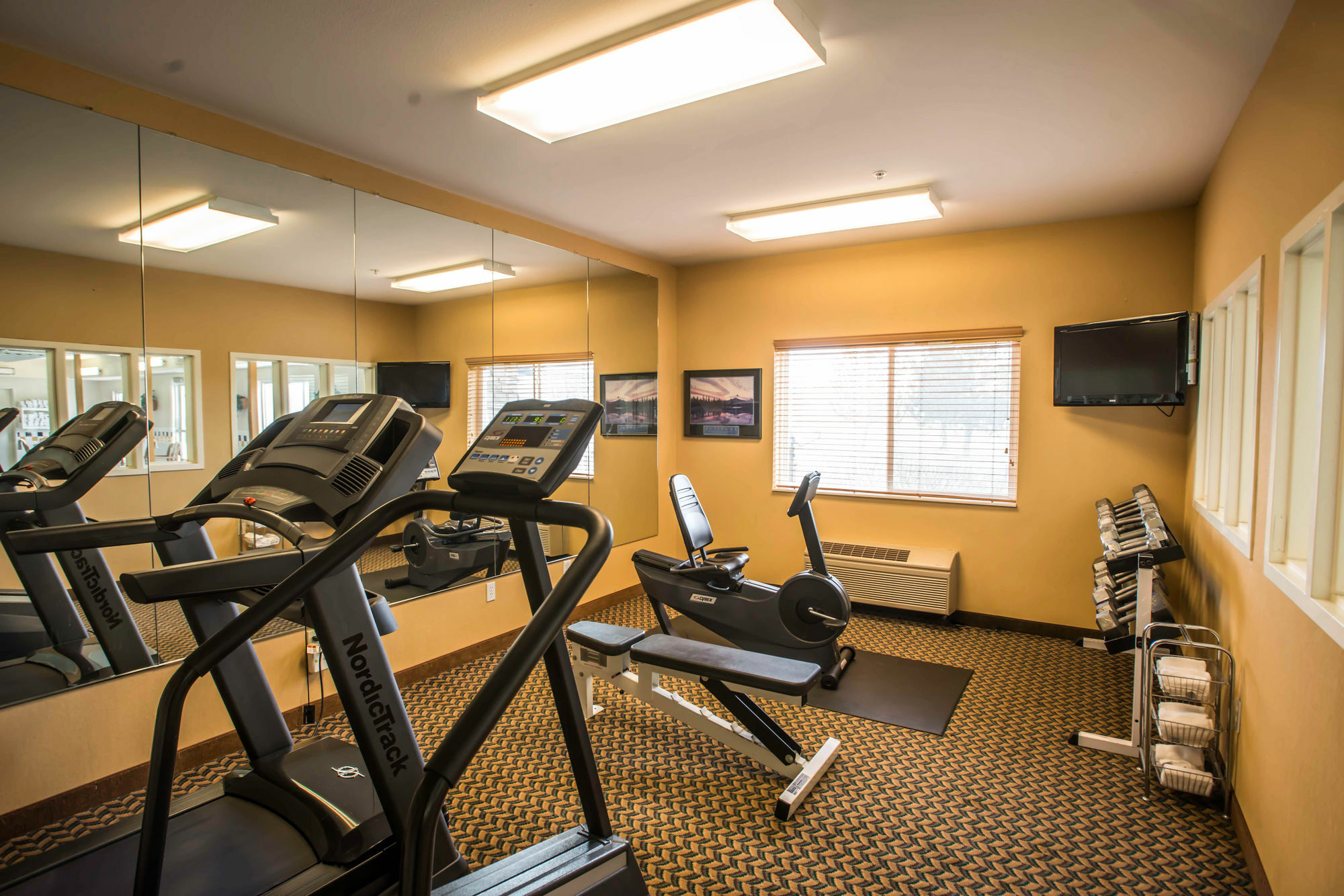 Comfort Inn Fort Collins North Екстериор снимка